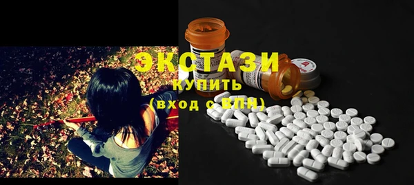 стаф Вязьма