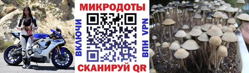 Псилоцибиновые грибы GOLDEN TEACHER  Заозёрск 